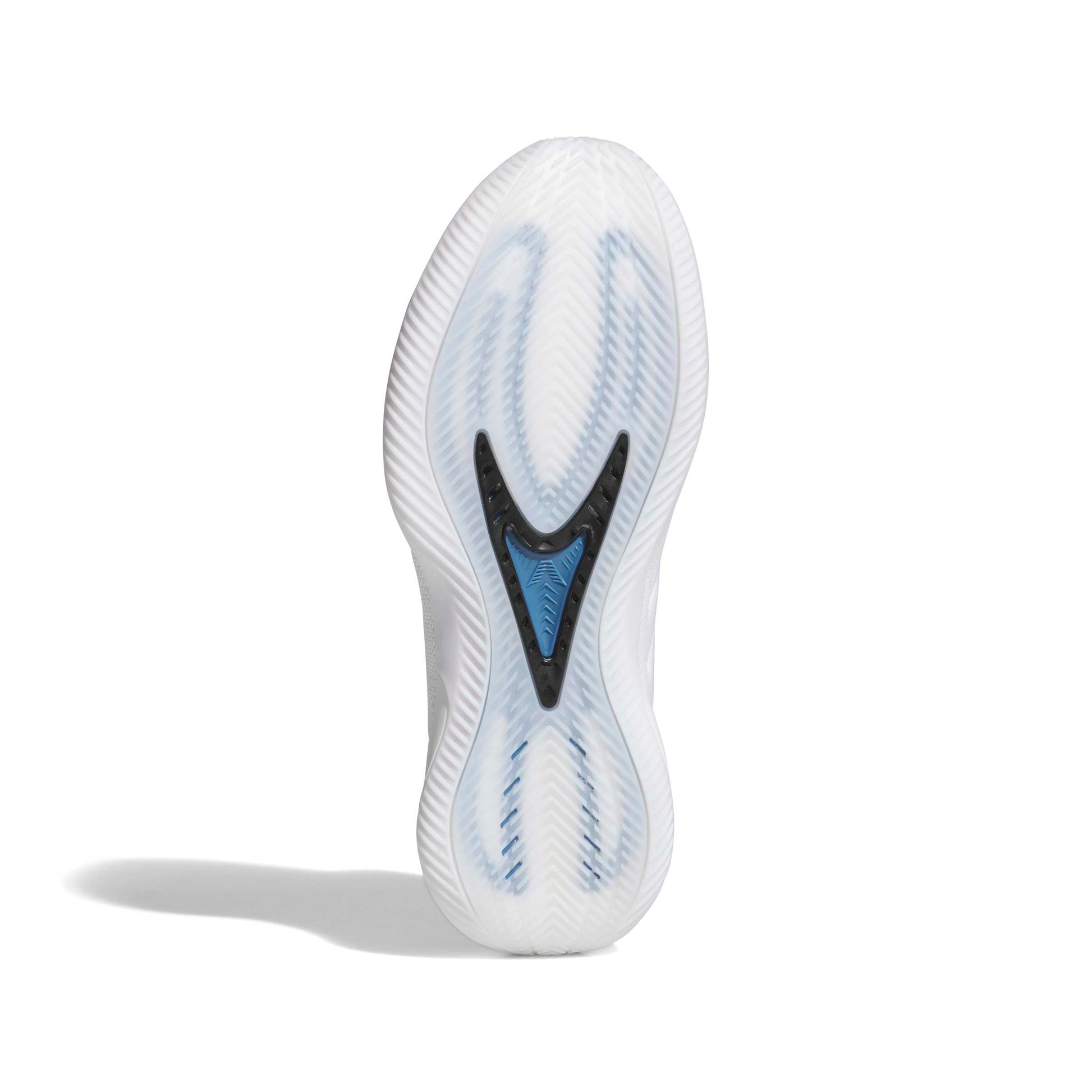 Anthony Edwards AE2 'Alphadawg'