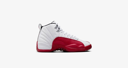 Nike Air Jordan 12 Retro
